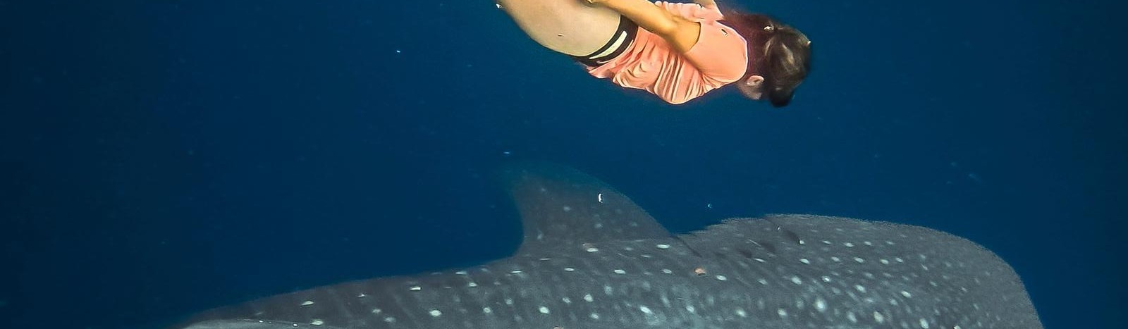 Le tour du monde en 730 jours se poursuit !